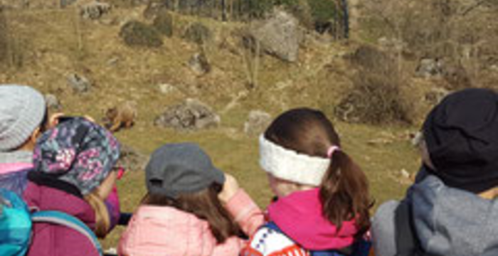 Tierpark