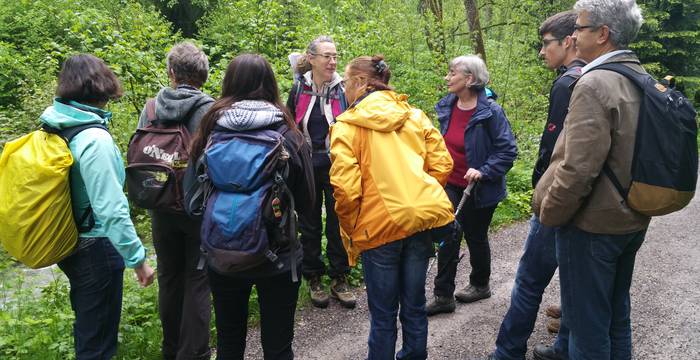 Gruppe im Lorzentobel