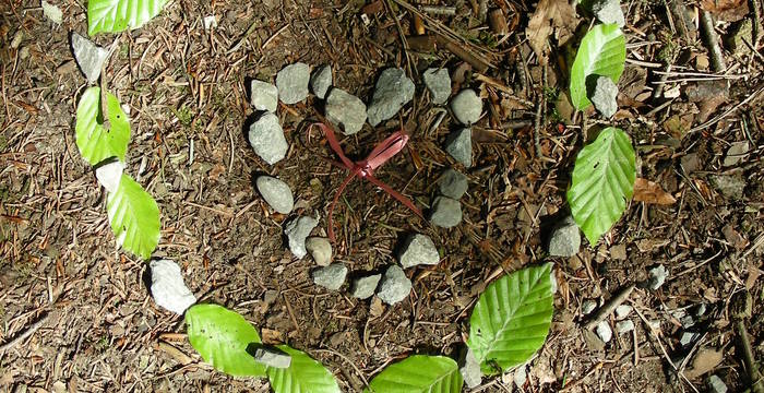 Waldkunst