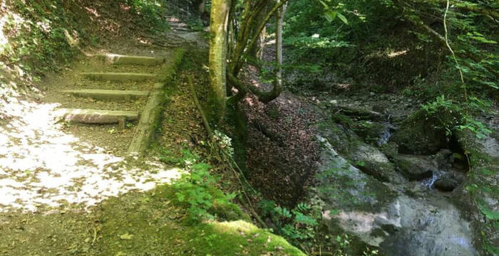 Wanderweg Fridbachtobel