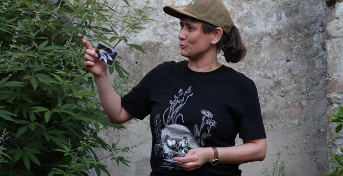 Franziska Schmid (Pro Natura) war begeistert über die Vielfalt an Wildbienen im Naturgarten.