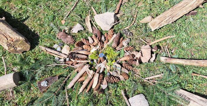 Landart mit Nadelbaum