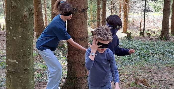 Spielen im Wald