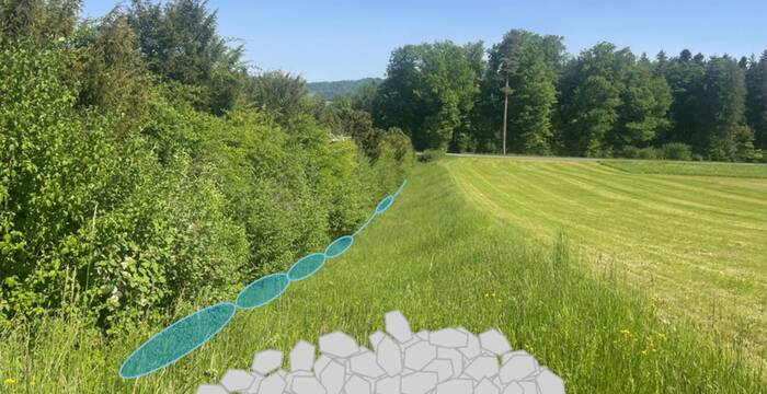 Visualisierung von Tümpeln und Steinhaufen beim oberen Teil der Panzersperre Islisberg