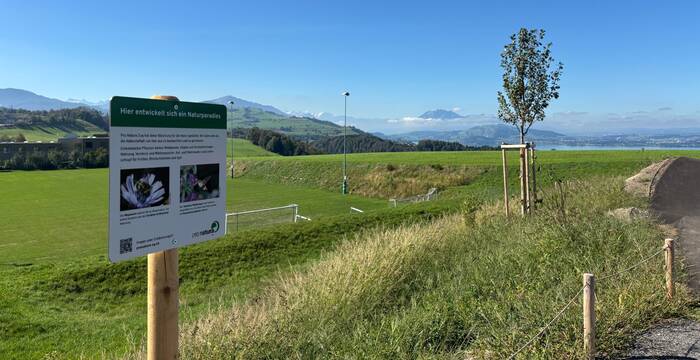 Die von Pro Natura Zug gestaltete Südböschung beim Pumptrack Neuheim mit Infotafel. Am Eröffnungstag, 6.9.26.