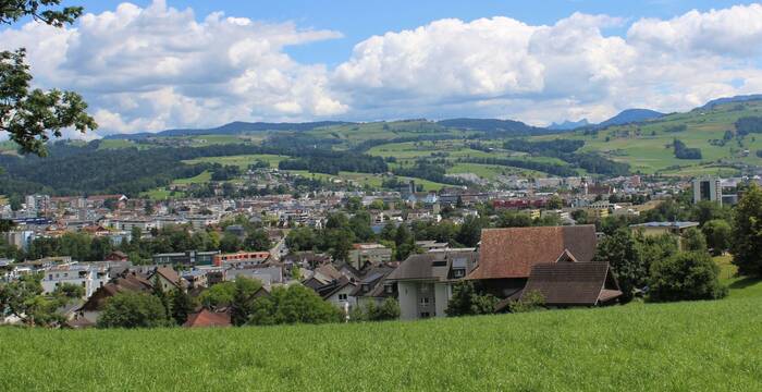 Blick über Baar – wie sich Natur und Landschaft im Kanton Zug entwickeln werden, hängt stark von den gewählten Politiker:innen ab.