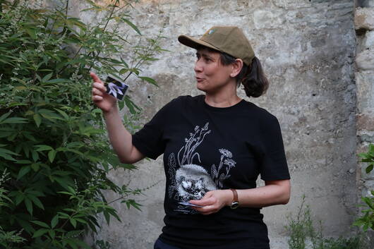 Franziska Schmid (Pro Natura) war begeistert über die Vielfalt an Wildbienen im Naturgarten.