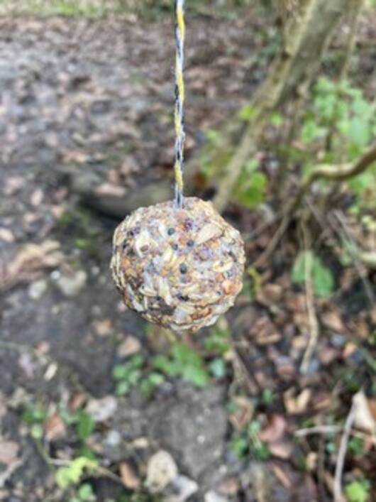 Meisenknödel