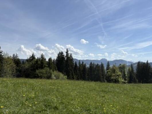 Ausflug Raten
