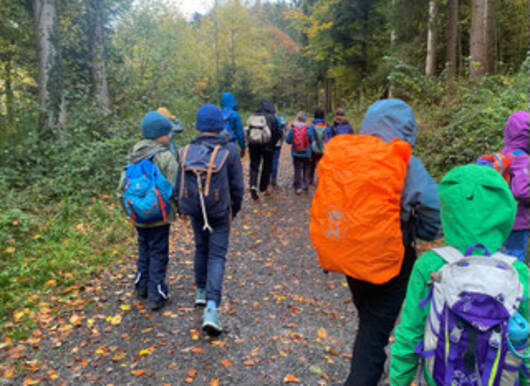 Im Regen durch den Wald stapfen