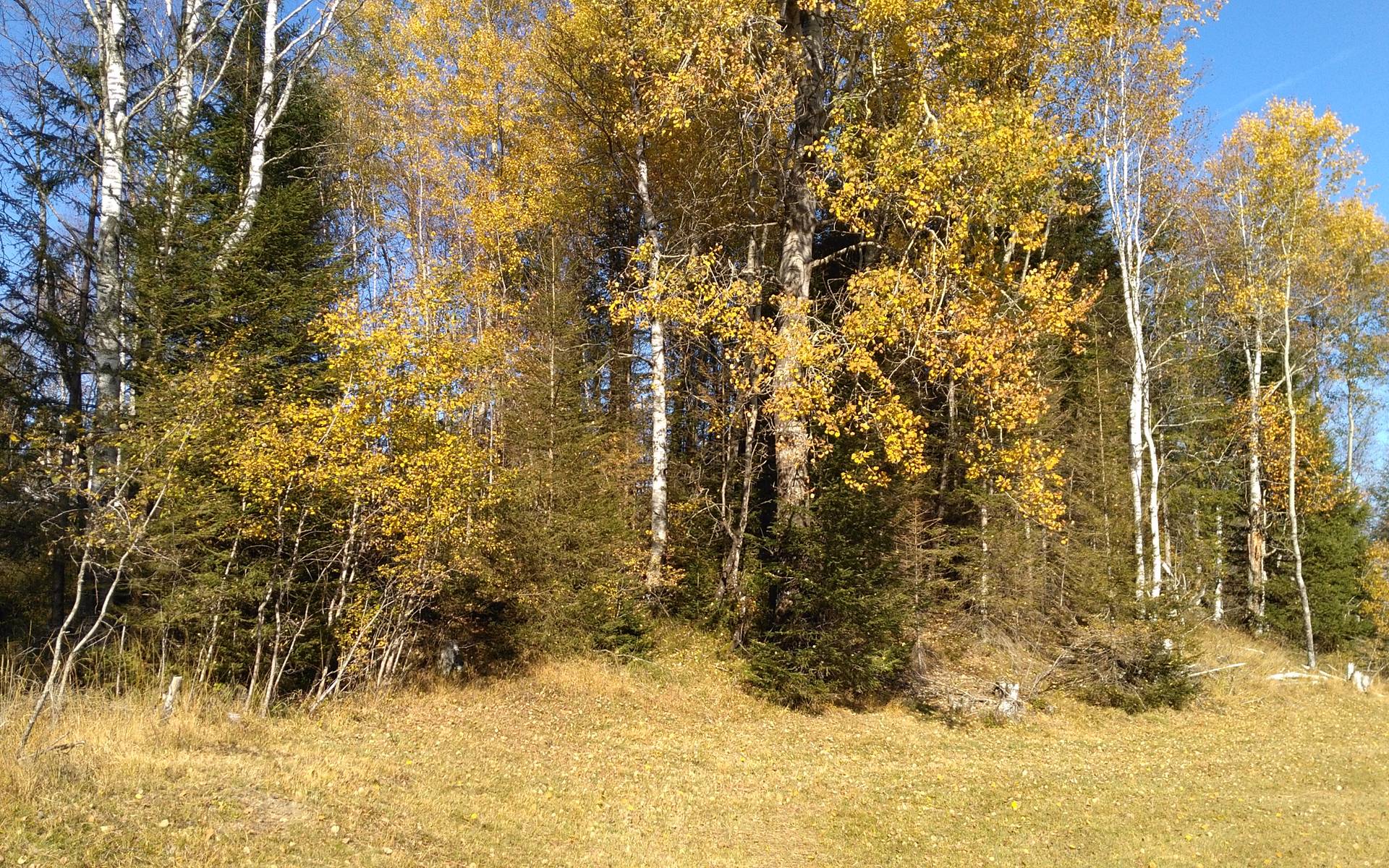 Schutzgebiete