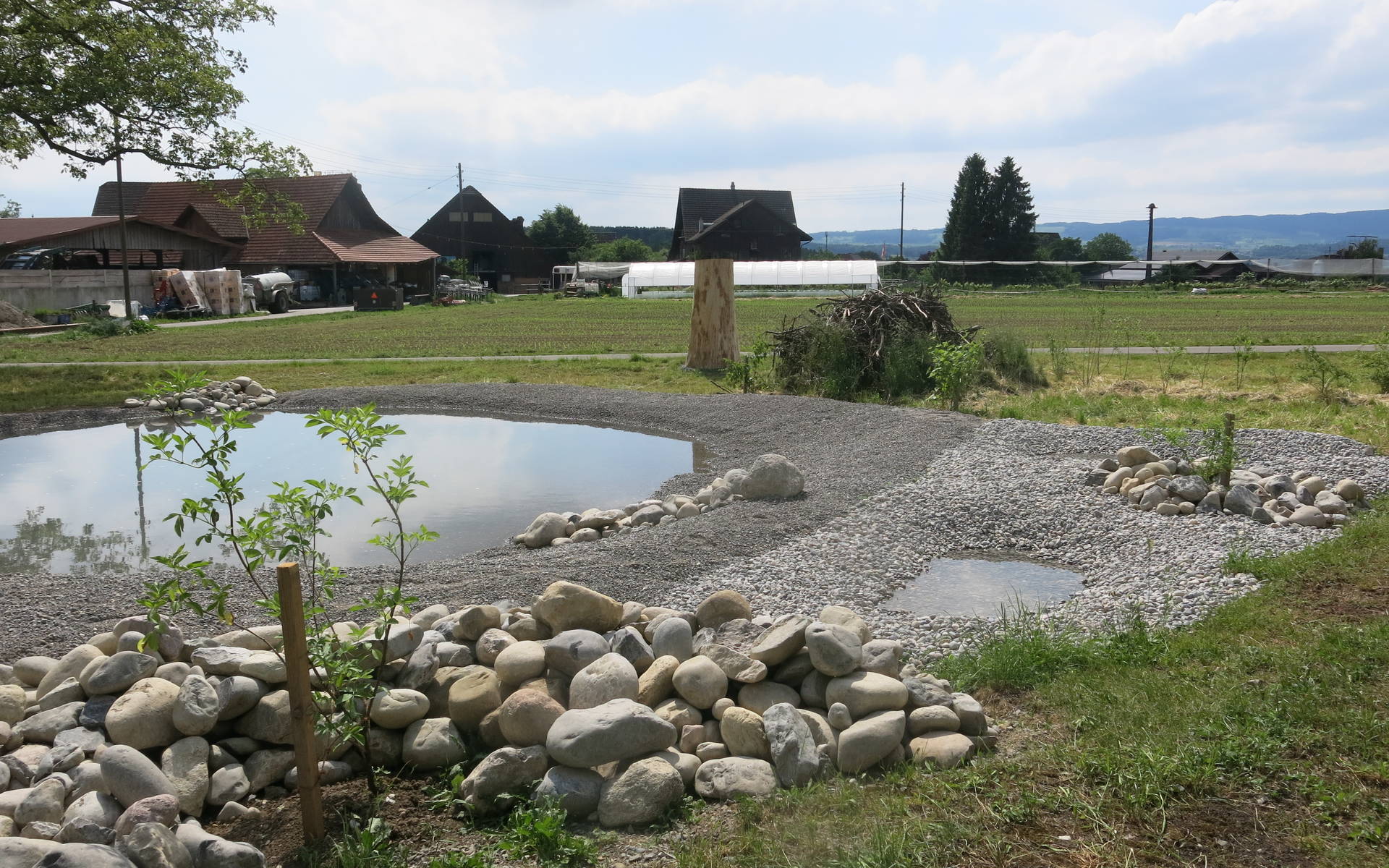 Weiher Friesencham