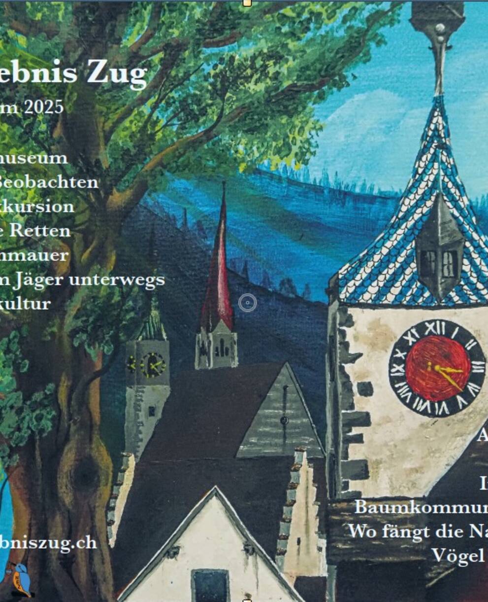 Poster NEZ 2025