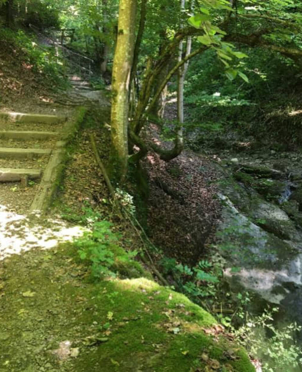 Wanderweg Fridbachtobel