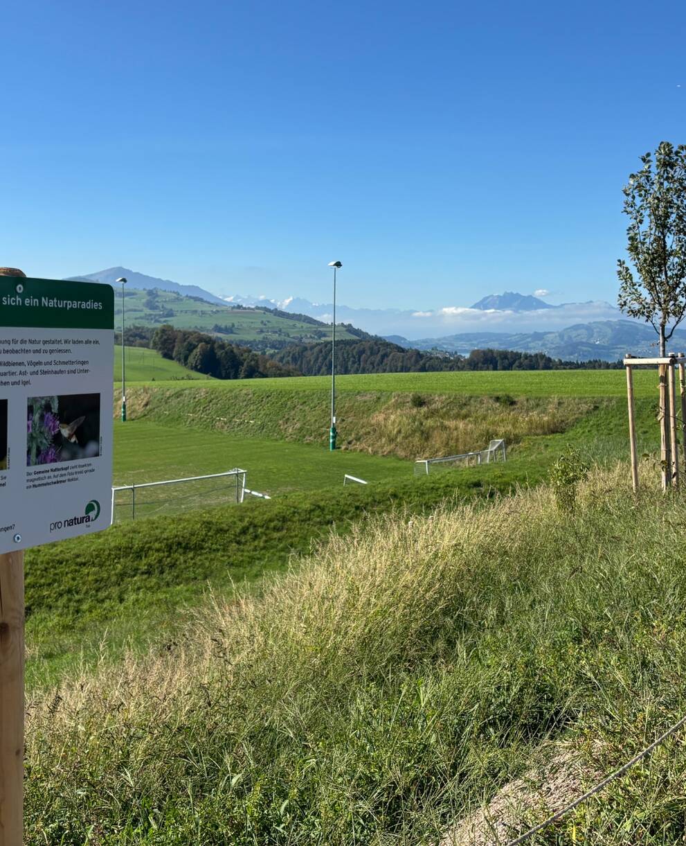 Die von Pro Natura Zug gestaltete Südböschung beim Pumptrack Neuheim mit Infotafel. Am Eröffnungstag, 6.9.26.