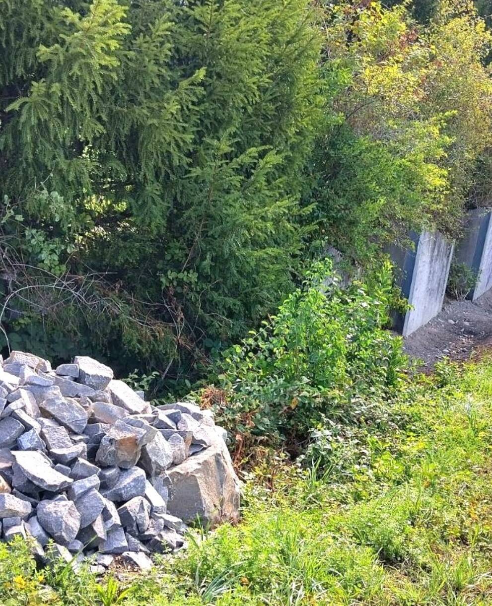 Die Tümpelkaskade entlang der Panzersperre bietet Libellen und Unken Lebensraum. In den Steinhaufen finden Wiesel und andere Kleintiere Unterschlupf.