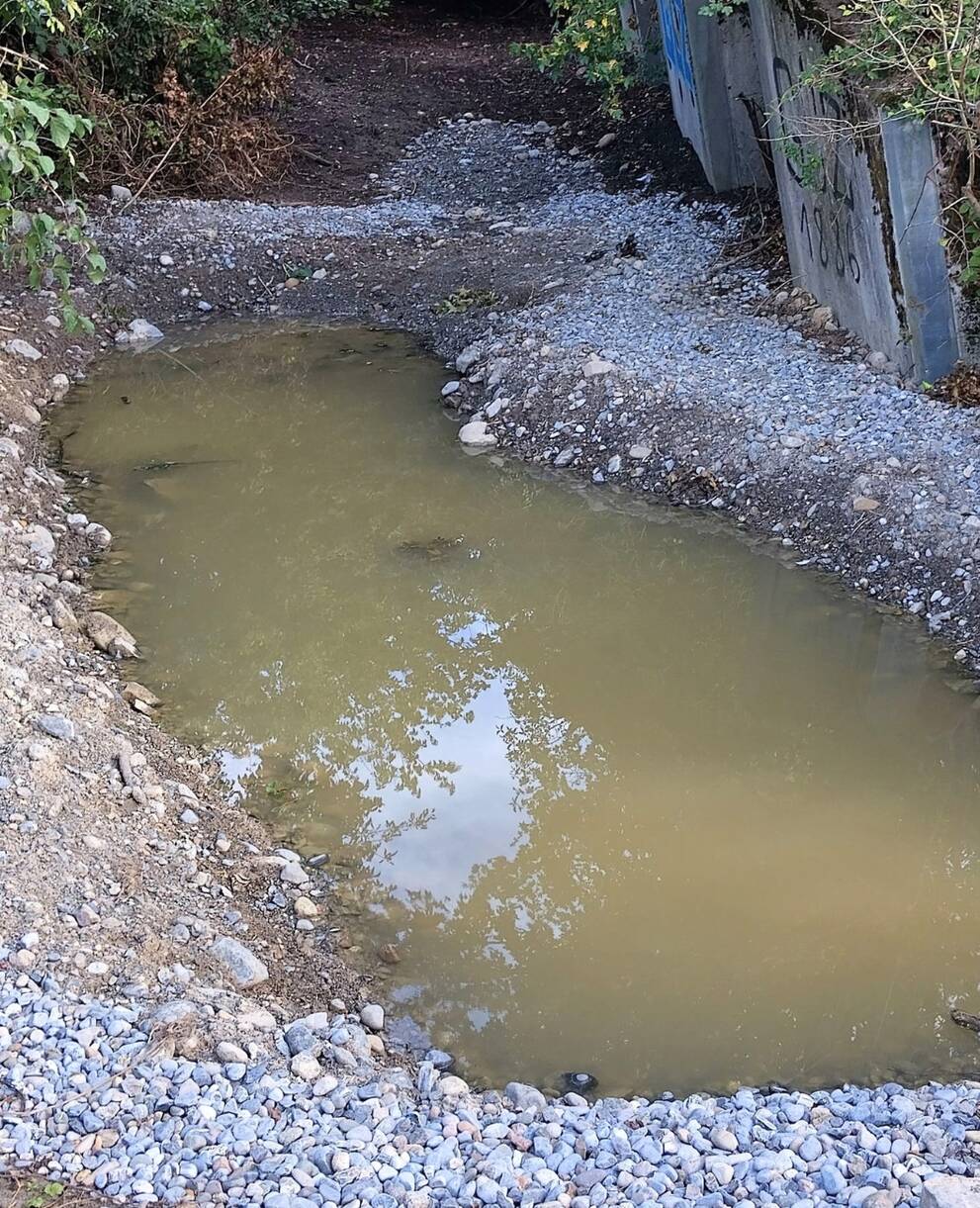 Im oberen Bereich der Panzersperre konnten wir einen grösseren Weiher umsetzen,welcher sich bereits mit Wasser gefüllt hat und auf die Besiedelung wartet.