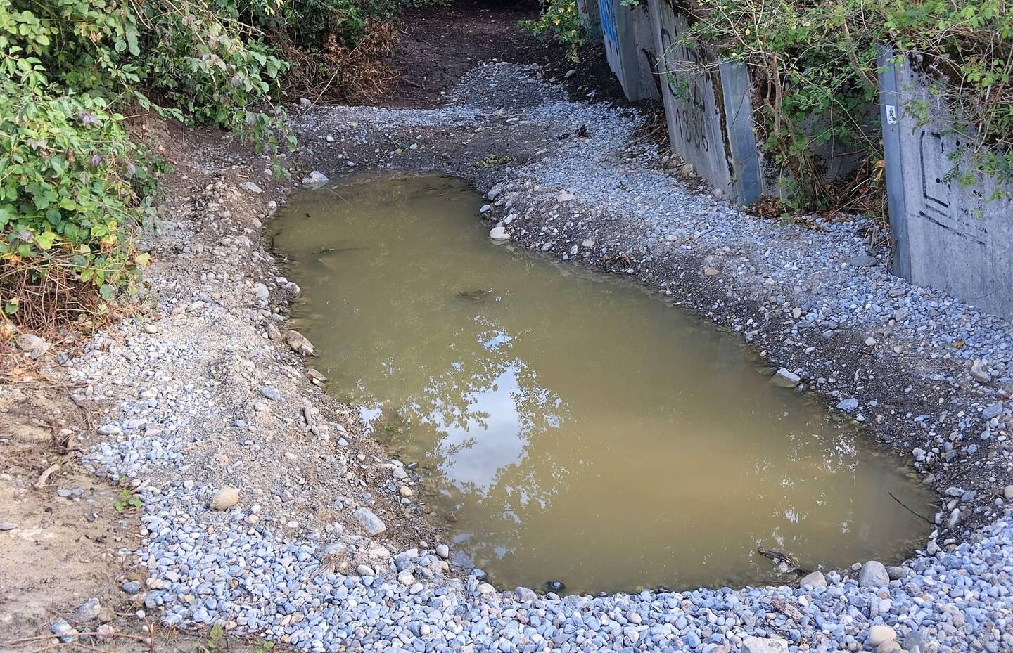 Im oberen Bereich der Panzersperre konnten wir einen grösseren Weiher umsetzen,welcher sich bereits mit Wasser gefüllt hat und auf die Besiedelung wartet.