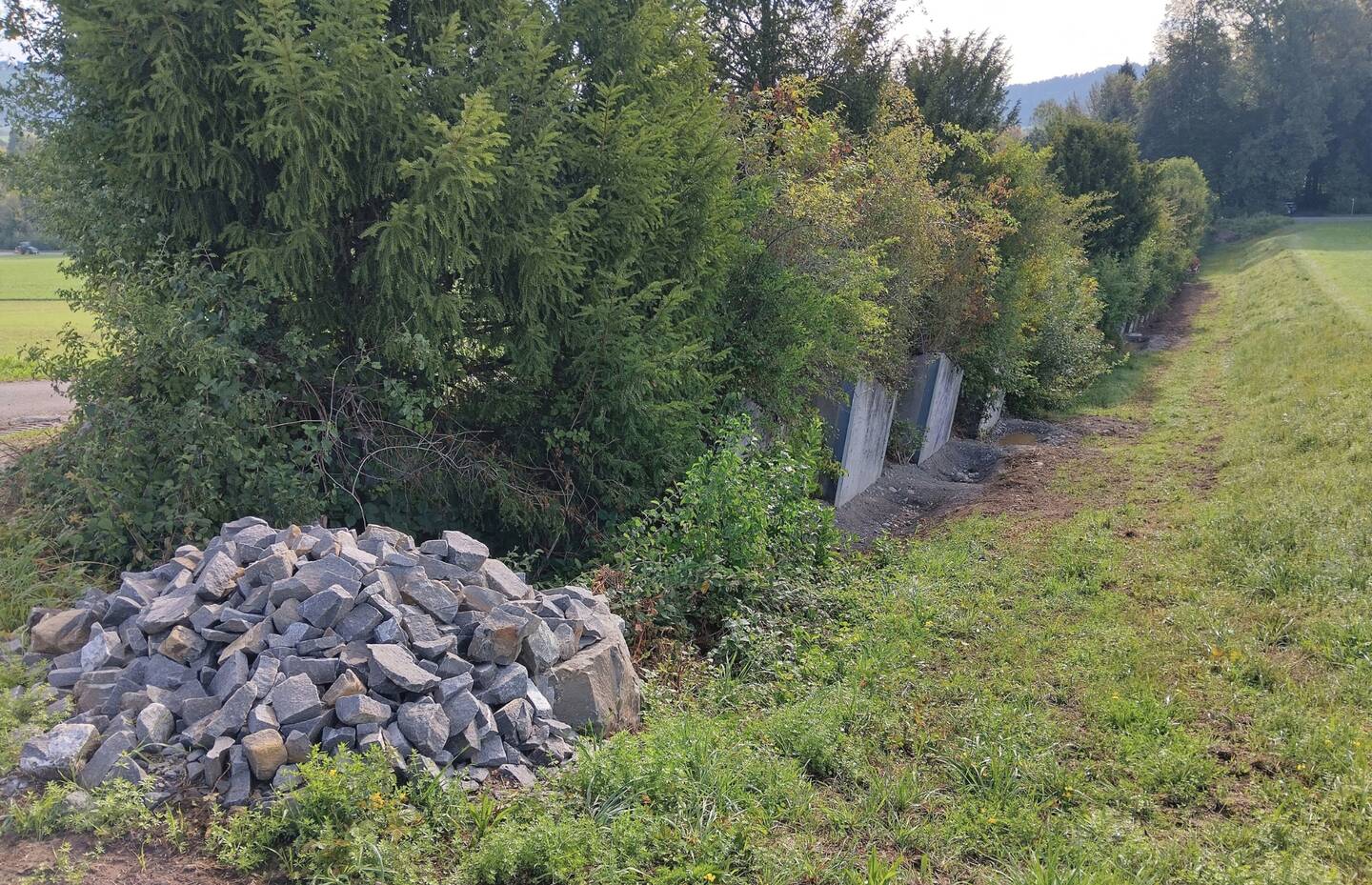 Die Tümpelkaskade entlang der Panzersperre bietet Libellen und Unken Lebensraum. In den Steinhaufen finden Wiesel und andere Kleintiere Unterschlupf.