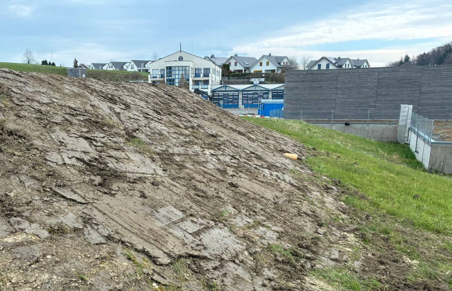 Die durch den Bau des Pumptracks neu entstandene Südböschung, welche Pro Natura Zug ökologisch gestalten konnte.