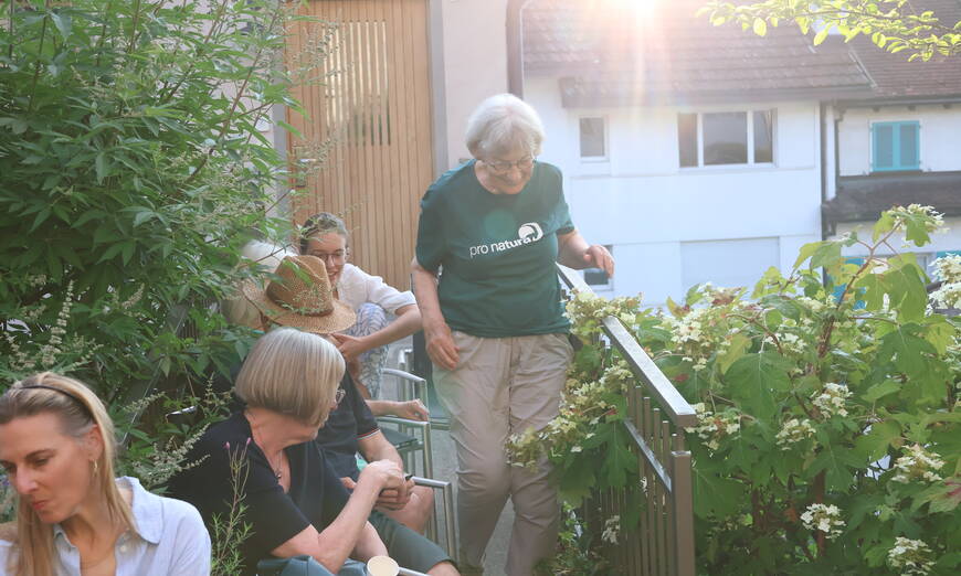 Wunderschöne Abendstimmung im Naturgarten an der Dorfstrasse 29 in Zug.