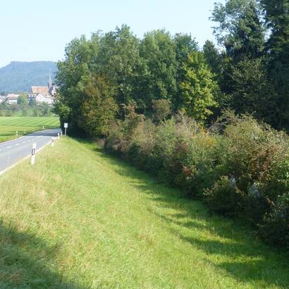 Untere Hecke