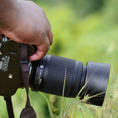 Fotografie in der Natur